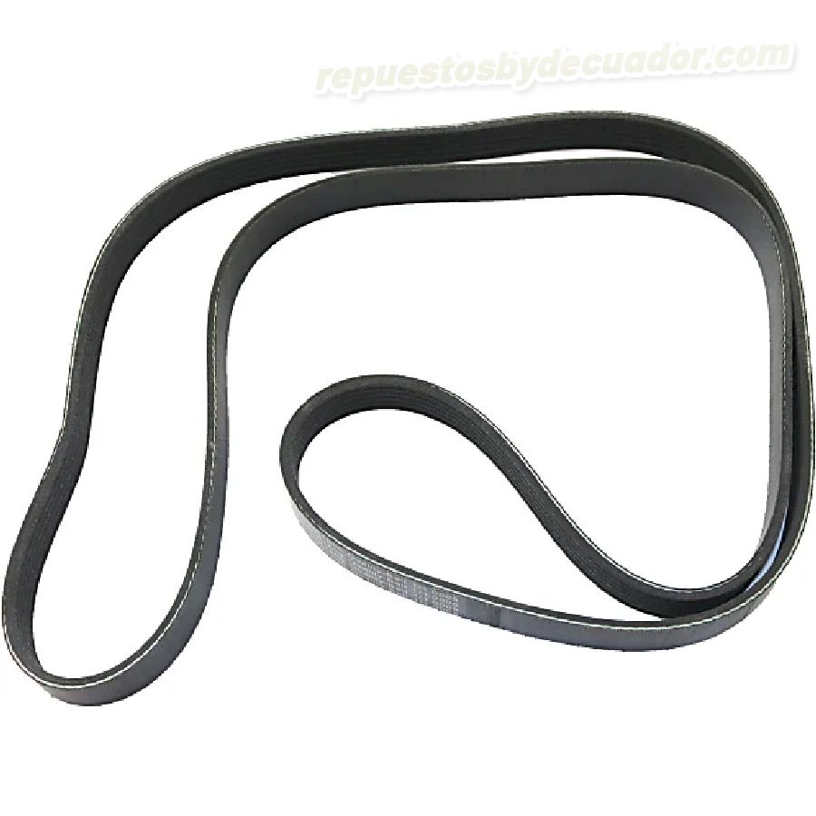 Cinturón Serpentino Byd Ecuador